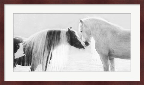 Framed Collection of Horses III Print