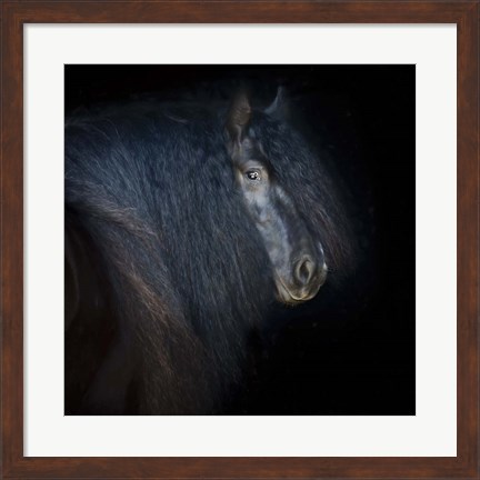Framed Collection of Horses VI Print