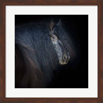 Framed Collection of Horses VI Print