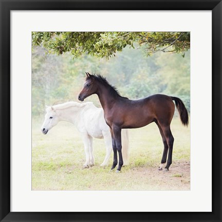 Framed Collection of Horses VII Print