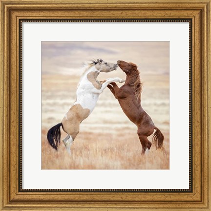 Framed Collection of Horses VIII Print