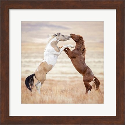 Framed Collection of Horses VIII Print