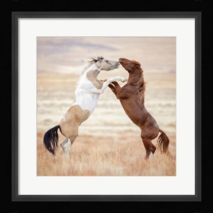 Framed Collection of Horses VIII Print