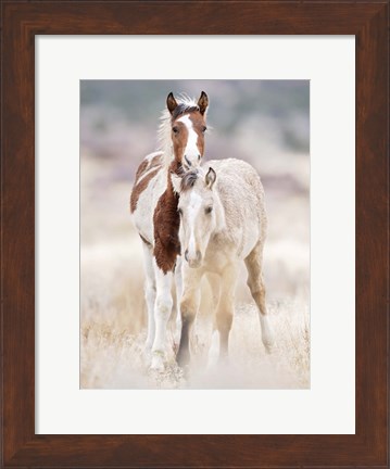 Framed Collection of Horses X Print