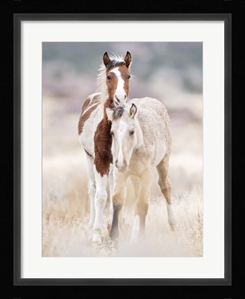 Framed Collection of Horses X Print