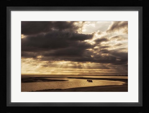 Framed Water &amp; Land IV Print