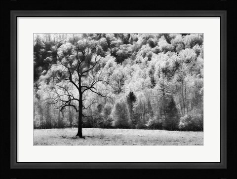 Framed Water &amp; Land VI Print