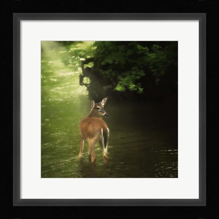 Framed Water &amp; Land VII Print