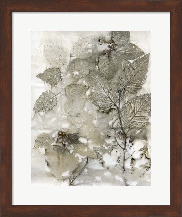 Framed Birch Leaves I Print