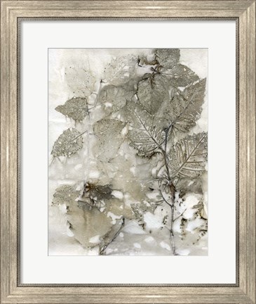Framed Birch Leaves I Print
