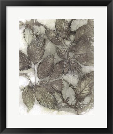 Framed Dogwood Leaves III Print
