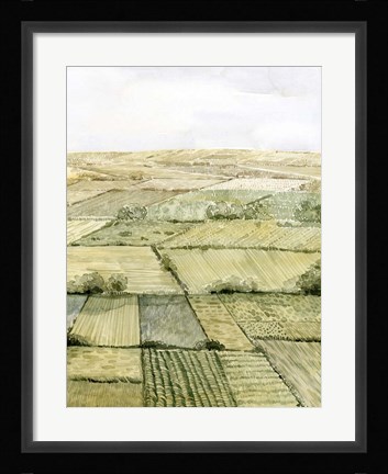 Framed Flatlands II Print