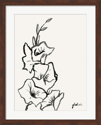 Framed Gladiola Sketch III Print