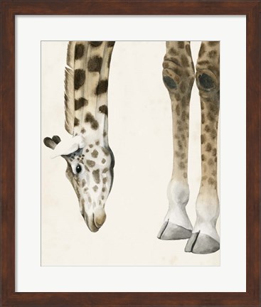 Framed At Your Feet II Print