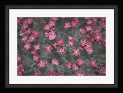 Framed Nature's Textures I Print