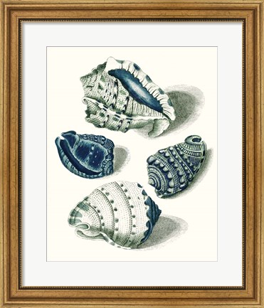 Framed Celadon Shells I Print