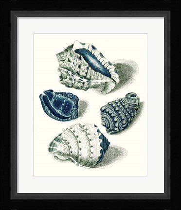Framed Celadon Shells I Print