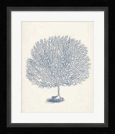 Framed Antique Coral Collection I Print