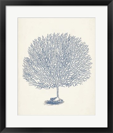 Framed Antique Coral Collection I Print
