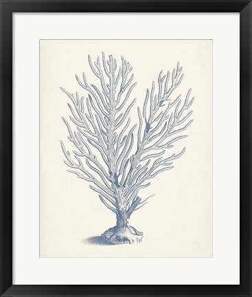 Framed Antique Coral Collection II Print