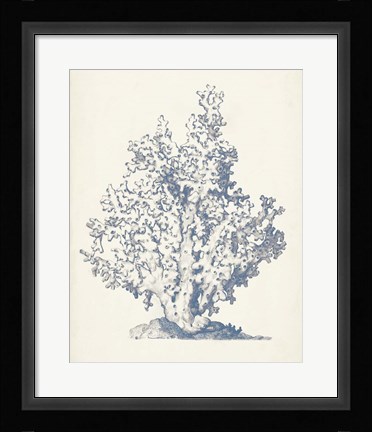 Framed Antique Coral Collection IV Print