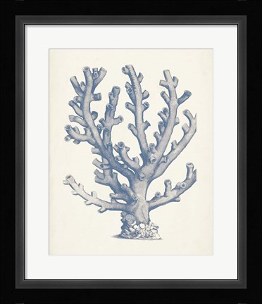Framed Antique Coral Collection VI Print