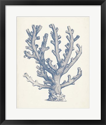 Framed Antique Coral Collection VI Print