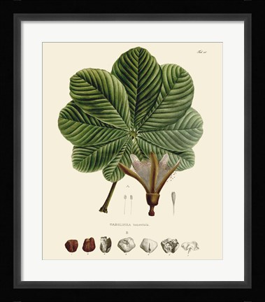 Framed Luscious Leaves I Print