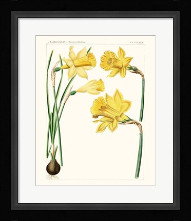 Framed Bright Botanicals I Print