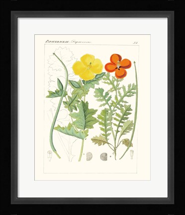 Framed Bright Botanicals VII Print