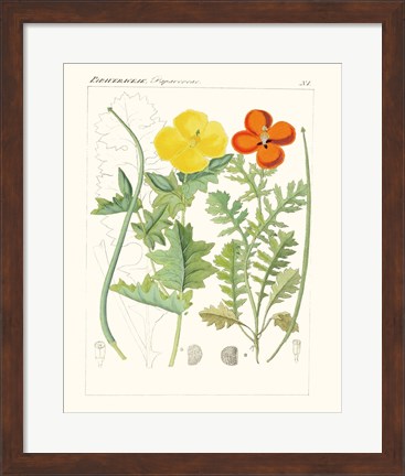 Framed Bright Botanicals VII Print