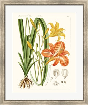 Framed Bright Botanicals VIII Print