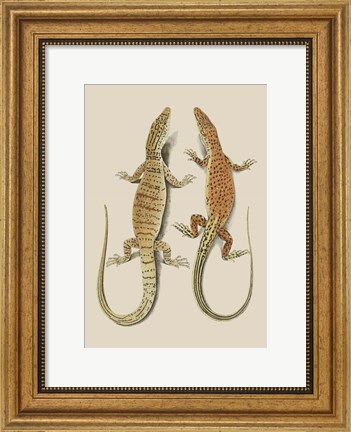 Framed Antique Lizards I Print