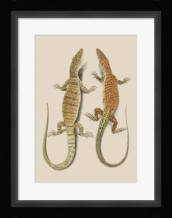 Framed Antique Lizards I Print