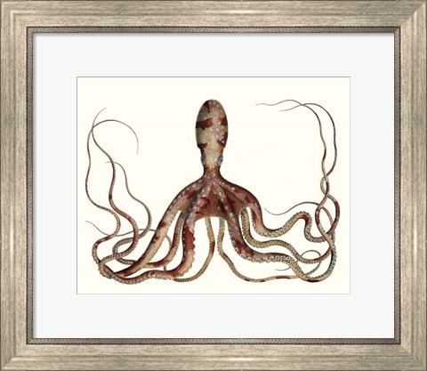 Framed Antique Octopus Collection II Print