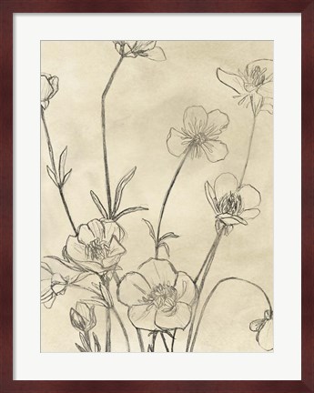Framed Vintage Wildflowers I Print
