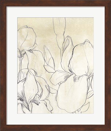 Framed Iris Garden Sketch I Print