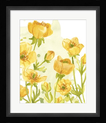 Framed Sunshine Meadow II Print