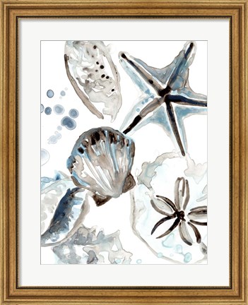 Framed Cerulean Seashells I Print