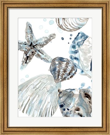 Framed Cerulean Seashells II Print