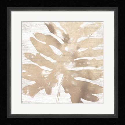 Framed Neutral Palm Fossil V Print