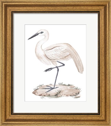 Framed White Heron III Print
