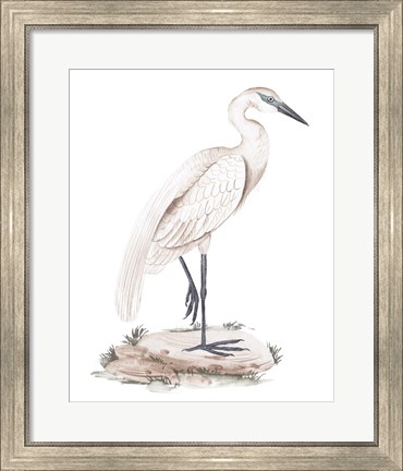 Framed White Heron IV Print
