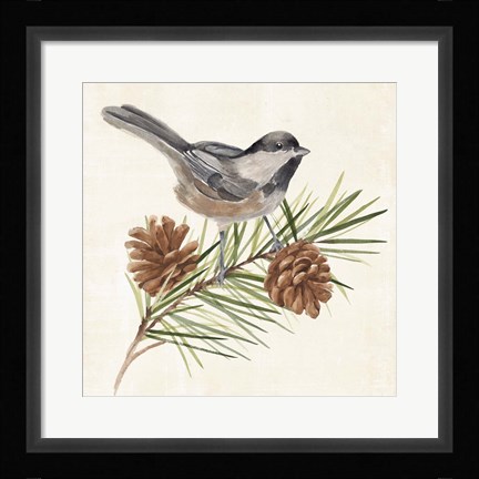 Framed Pine Branch I Print