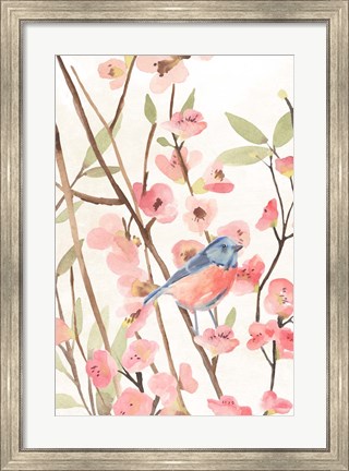 Framed Cherry Blossom Perch I Print