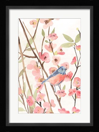 Framed Cherry Blossom Perch I Print