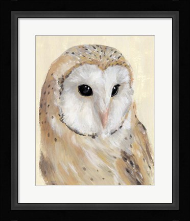 Framed Common Barn Owl II Print