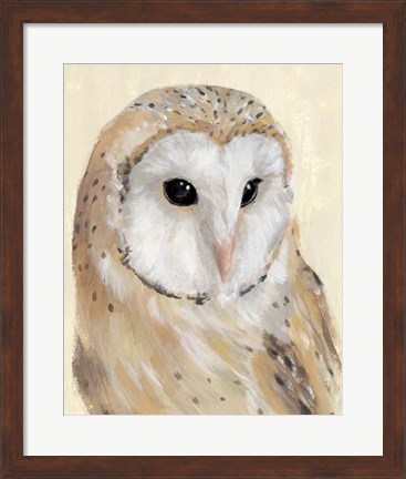 Framed Common Barn Owl II Print