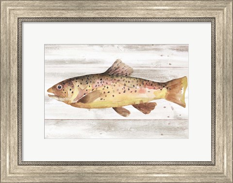 Framed Spotted Trout I Print