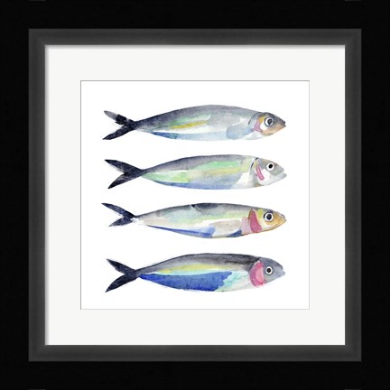 Framed Sardine Team II Print